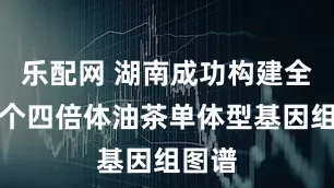 乐配网 湖南成功构建全球首个四倍体油茶单体型基因组图谱