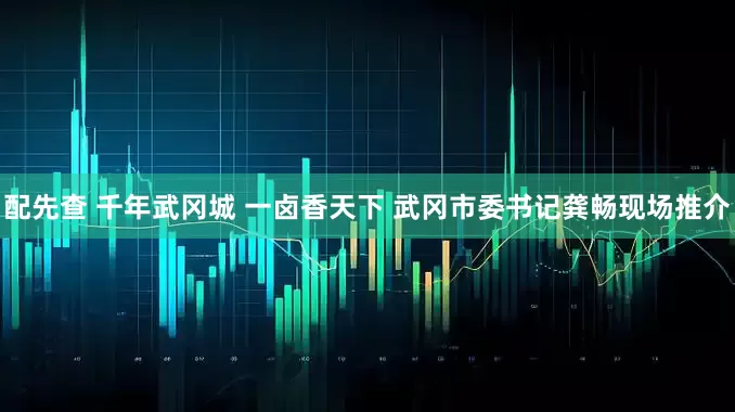 配先查 千年武冈城 一卤香天下 武冈市委书记龚畅现场推介