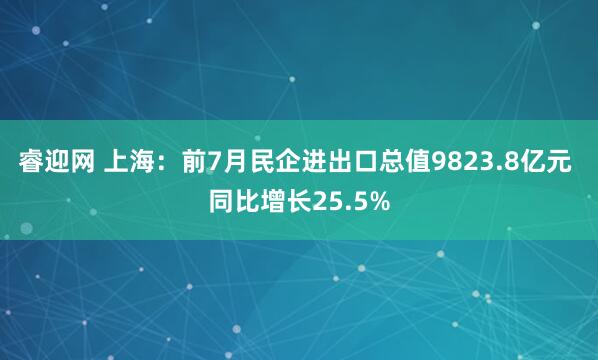 睿迎网 上海：前7月民企进出口总值9823.8亿元 同比增长25.5%