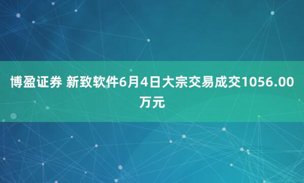 博盈证券 新致软件6月4日大宗交易成交1056.00万元